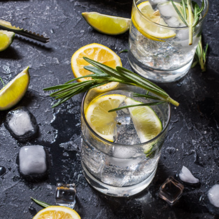Amped Up Gin and Tonic